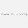 Varicella Zoster Virus (VZV) Antibody